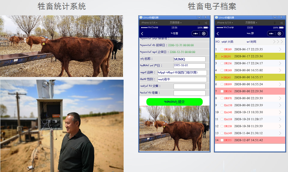 牲畜统计系统1.jpg