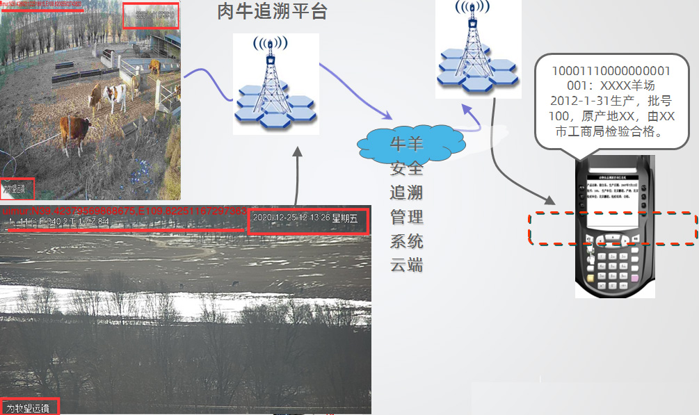 肉牛追溯平台1.jpg