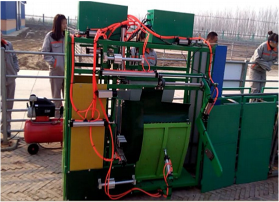 羊只全自动体尺体测定系统1.jpg